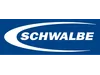 Schwalbe
