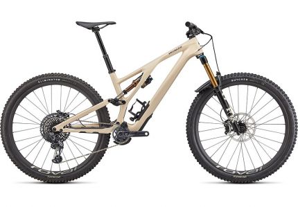 STUMPJUMPER EVO PRO