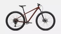 Specialized - ROCKHOPPER EXPERT 29  GLOSS RUSTED RED / SATIN RUSTED RED