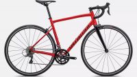 Specialized - ALLEZ GLOSS FLO RED/TARMAC BLACK