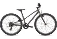 Specialized - JETT 24 SATIN SMOKE/FLAKE SILVER