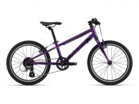 Giant - ARX 20 Purple