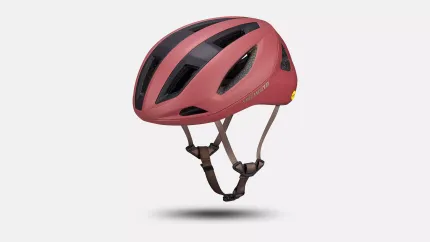 Specialized search spice