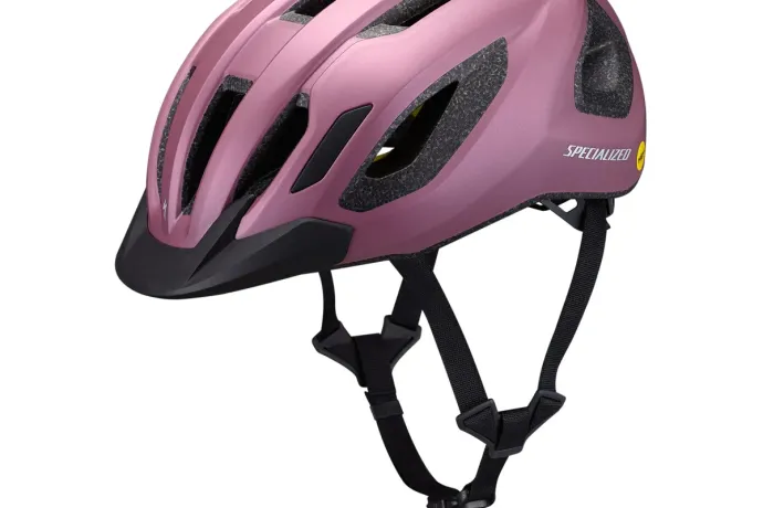 Specialized chamonix 3   Quartz Metallic
