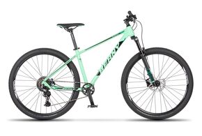 Beany - blaster 29 (17") 