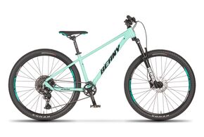 Beany - Blaster 27,5    