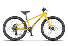 Beany - Blaster XC 24  