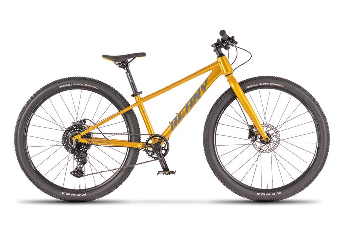 Beany Blaster XC 26  