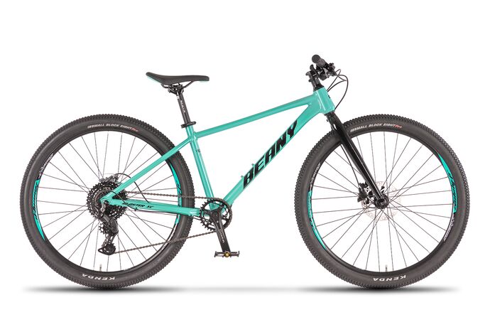 Beany Blaster XC 27,5 (15") 